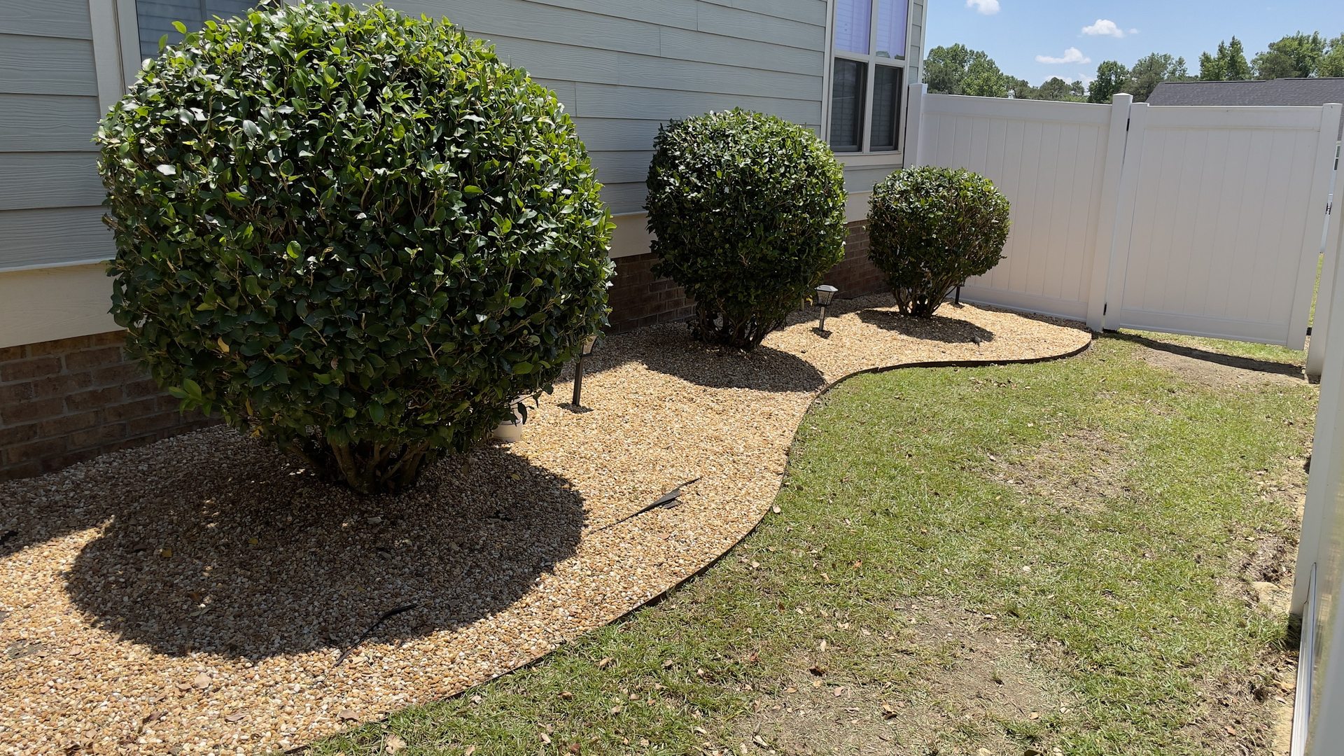 Trimmed boxwoods in a clean, edged gravel and mulch bed